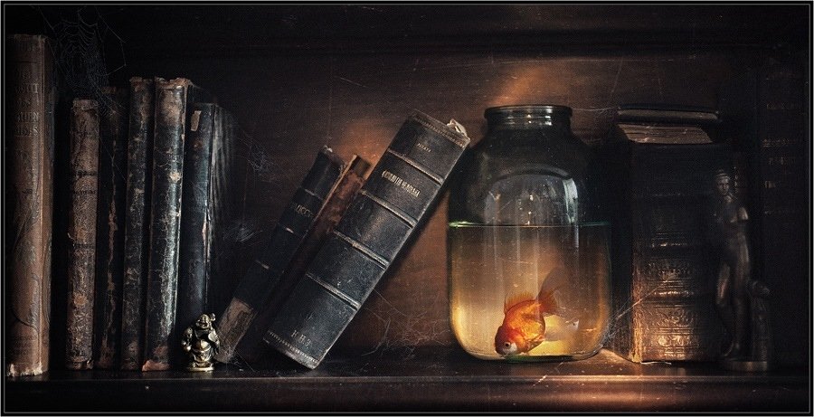 Новинки книжного рынка за последние две недели № V - Изображение 1 Новинки книжного рынка за последние две недели № V - Изображение 1