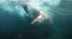 Гигантская акула-убийца против лысины Джейсона Стэйтема на новых кадрах фильма «Мег: Монстр глубины». - Изображение 2