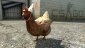 За что мы так с курицами в играх?. - Изображение 6
